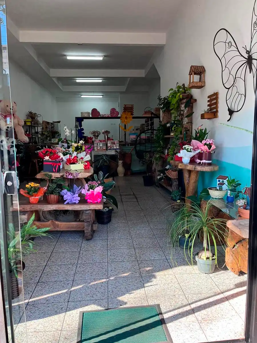 Interior Loja Quintal Dona Flor